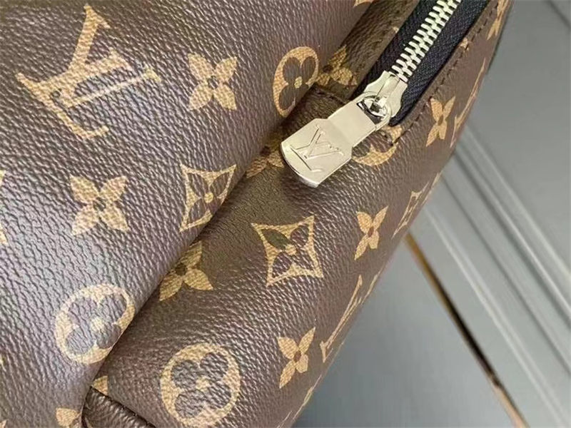 Louis Vuitton MATCH POINT Backpack Monogram High