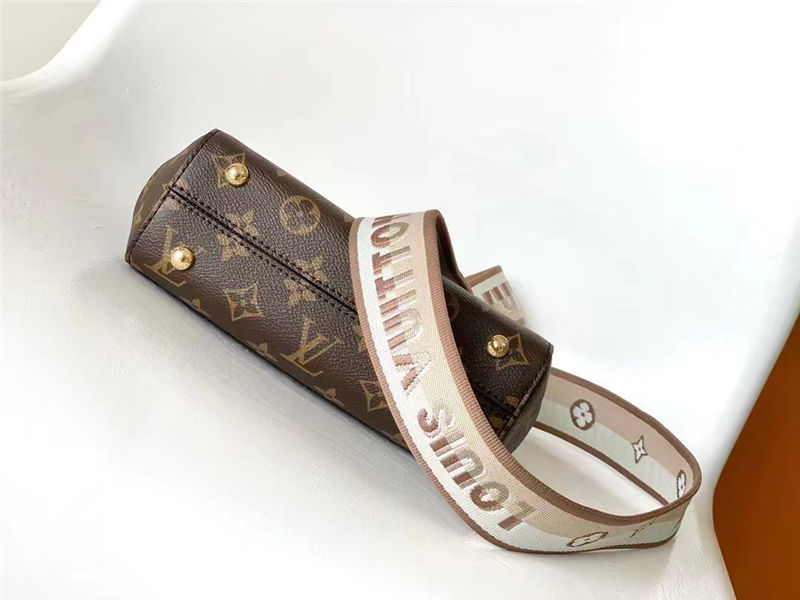 Louis Vuitton CLUNY MINI Monogram coated canvas M46055 High