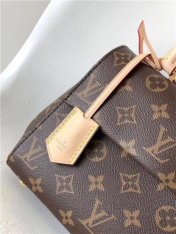 Louis Vuitton CLUNY MINI Monogram coated canvas M46055 High