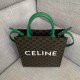 Celine Small Cabas Vertical Bag With Green Handles High