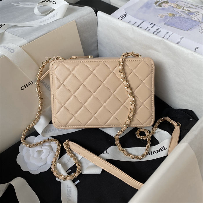 Chanel CAMERA BAG AS4817 Lambskin Beige A