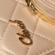 Chanel CAMERA BAG AS4817 Lambskin Beige A