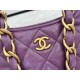 Chanel SMALL HOBO BAG AS4922 Shiny Lambskin & Gold Metal A