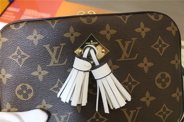 Louis Vuitton Saintonge Bag Monogram White