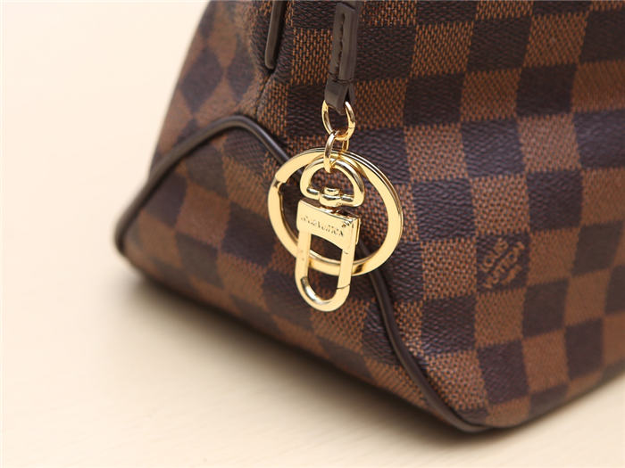 Louis Vuitton Delightful MM Bag Damier Ebene