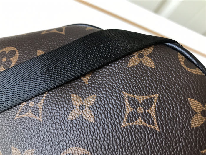 Louis Vuitton Discovery Bumbag Monogram