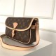 Louis Vuitton SOLOGNE SHOULDER BAG Monogram High