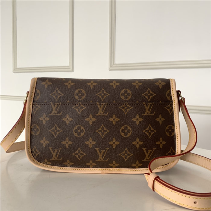 Louis Vuitton SOLOGNE SHOULDER BAG Monogram High