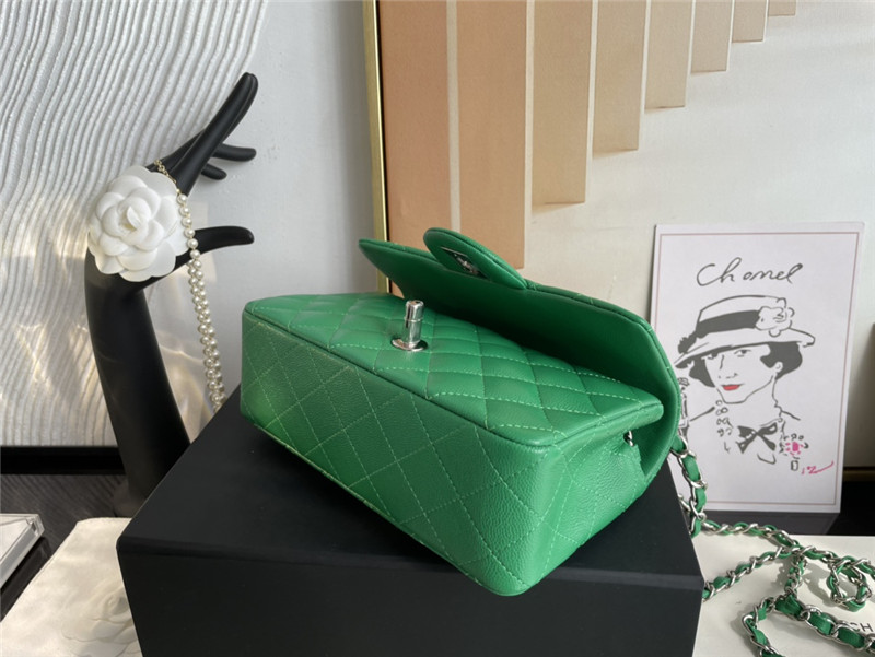 Mini CLASSIC HANDBAG Grained Calfskin Green Silver Metal A