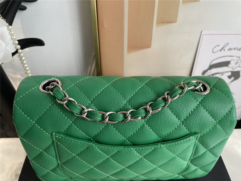 Mini CLASSIC HANDBAG Grained Calfskin Green Silver Metal A