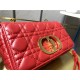 Dior SMALL CARO BAG Calfskin Red mid