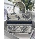 SMALL Dior BOOK TOTE Toile de Jouy Zodiac Embroidery Latte High