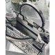 SMALL Dior BOOK TOTE Toile de Jouy Zodiac Embroidery Latte High