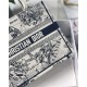 SMALL Dior BOOK TOTE Toile de Jouy Zodiac Embroidery Latte High