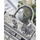 SMALL Dior BOOK TOTE Toile de Jouy Zodiac Embroidery Latte High