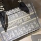 MINI Dior BOOK TOTE Gray Dior Oblique Embroidery mid