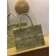 MEDIUM Dior BOOK TOTE Toile de Jouy Reverse Embroidery Green Mid