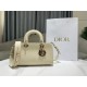 Lady D-Sire Small My ABCDior Bag Bull Leather Latte High