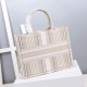 MEDIUM Dior BOOK TOTE Stripes Embroidery Beige High