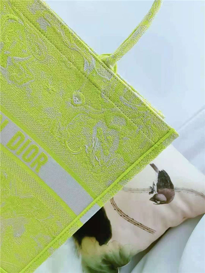 LARGE Dior BOOK TOTE Toile de Jouy Reverse Embroidery Lime High