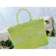 LARGE Dior BOOK TOTE Toile de Jouy Reverse Embroidery Lime High