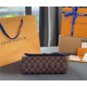 Louis Vuitton Vavin PM Bag Damier Ebene N40108 High