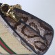 Gucci Ophidia GG small shoulder bag Snake Beige High