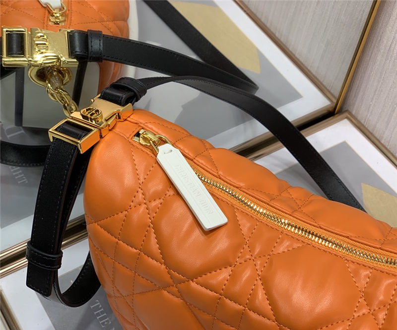 Dior VIBE BAG Orange High