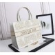 MEDIUM Dior BOOK TOTE Dior Around the World Stella Embroidery Gold-Tone High