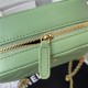 MINI CAMERA CASE Lambskin Gold-Tone Metal Green AS2463 A