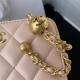 MINI CAMERA CASE Lambskin Gold-Tone Metal Pink AS2463 A