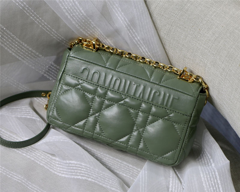 SMALL Dior CARO BAG Quilted Macrocannage Gold Metal Calfskin Green High