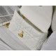 SMALL Dior CARO BAG Quilted Macrocannage Calfskin White Gold Metal High