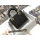 MINI LADY Dior BAG Cannage Calfskin with Beaded Embroidery High