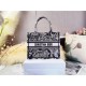 SMALL Dior BOOK TOTE Toile de Jouy Reverse Embroidery Mid