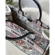 LARGE Dior BOOK TOTE La Force Embroidery Multicolor High