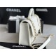 Chanel FLAP BAG WITH TOP HANDLE Grained Calfskin & Gold-Tone Metal AS3653 White A