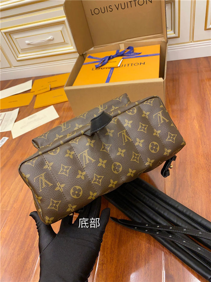 Louis Vuitton Palm Springs MM Backpack M44874 Top