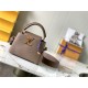 Louis Vuitton CAPUCINES MINI Taurillon Taupe M58718 High