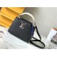 Louis Vuitton CAPUCINES MINI Taurillon/Lizard Black M94048 High