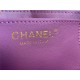 MINI FLAP BAG AS3213 Lambskin & Gold-Tone Metal Purple A