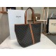 Celine Medium Cabas Bag in Triomphe Canvas High