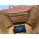 Celine Medium Cabas Bag in Triomphe Canvas High