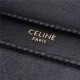 Celine CHAIN BAG TRIOMPHE IN SHINY CALFSKIN High