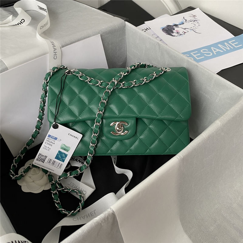 Small CLASSIC HANDBAG Lambskin Silver Metal Green A