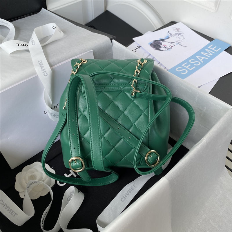 Chanel Duma Backpack 2908 Lambskin Gold-Tone Metal Green A