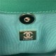 Chanel Duma Backpack 2908 Lambskin Gold-Tone Metal Green A