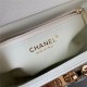 Chanel Mini Flap Bag A93749 Grained Calfskin Gold-Tone MetalWhite High