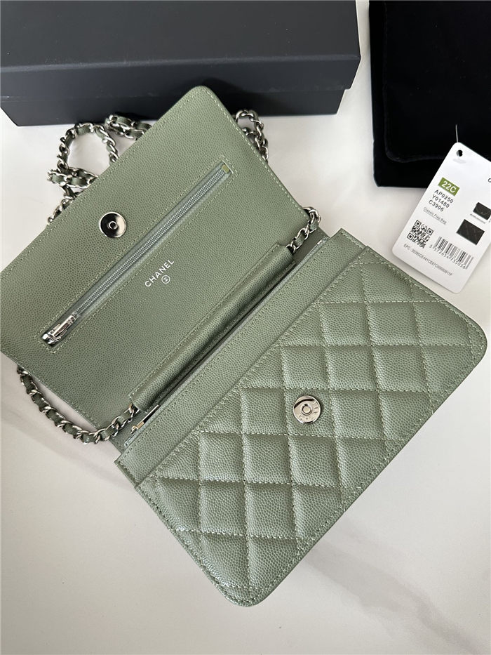 Classic Wallet on Chain AP0250 Grained Calfskin Green Silver Metal A