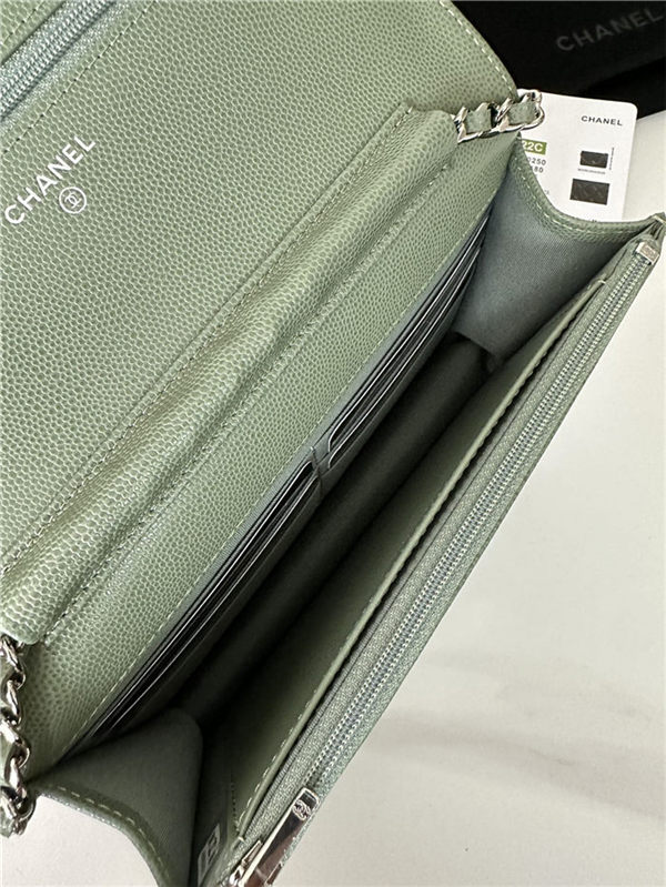 Classic Wallet on Chain AP0250 Grained Calfskin Green Silver Metal A